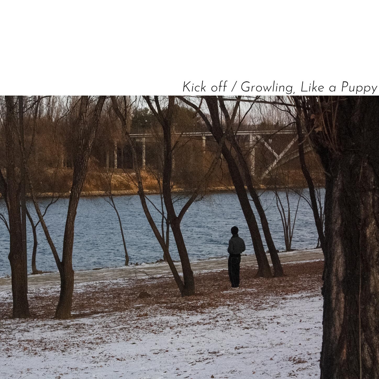 Image Cover